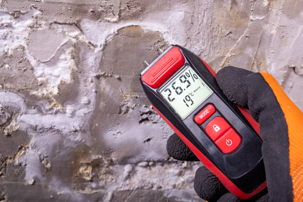 Best Health and Safety Mold Remediation in Maryville, TN